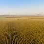 W Sprawie Zwrotu Części Podatku Rolnego za 2024 r.