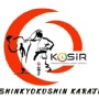 XV Międzynarodowy turniej karate Shinkyokushin - KOBIERZYCE CUP